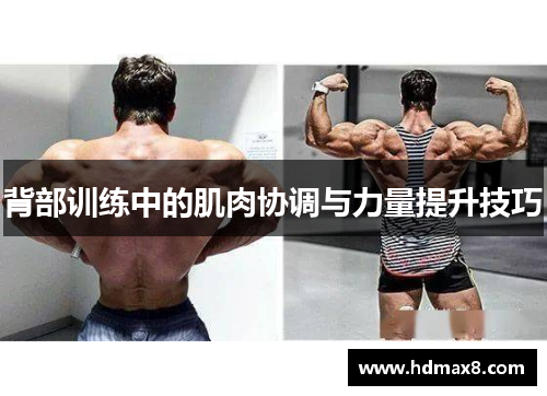 背部训练中的肌肉协调与力量提升技巧